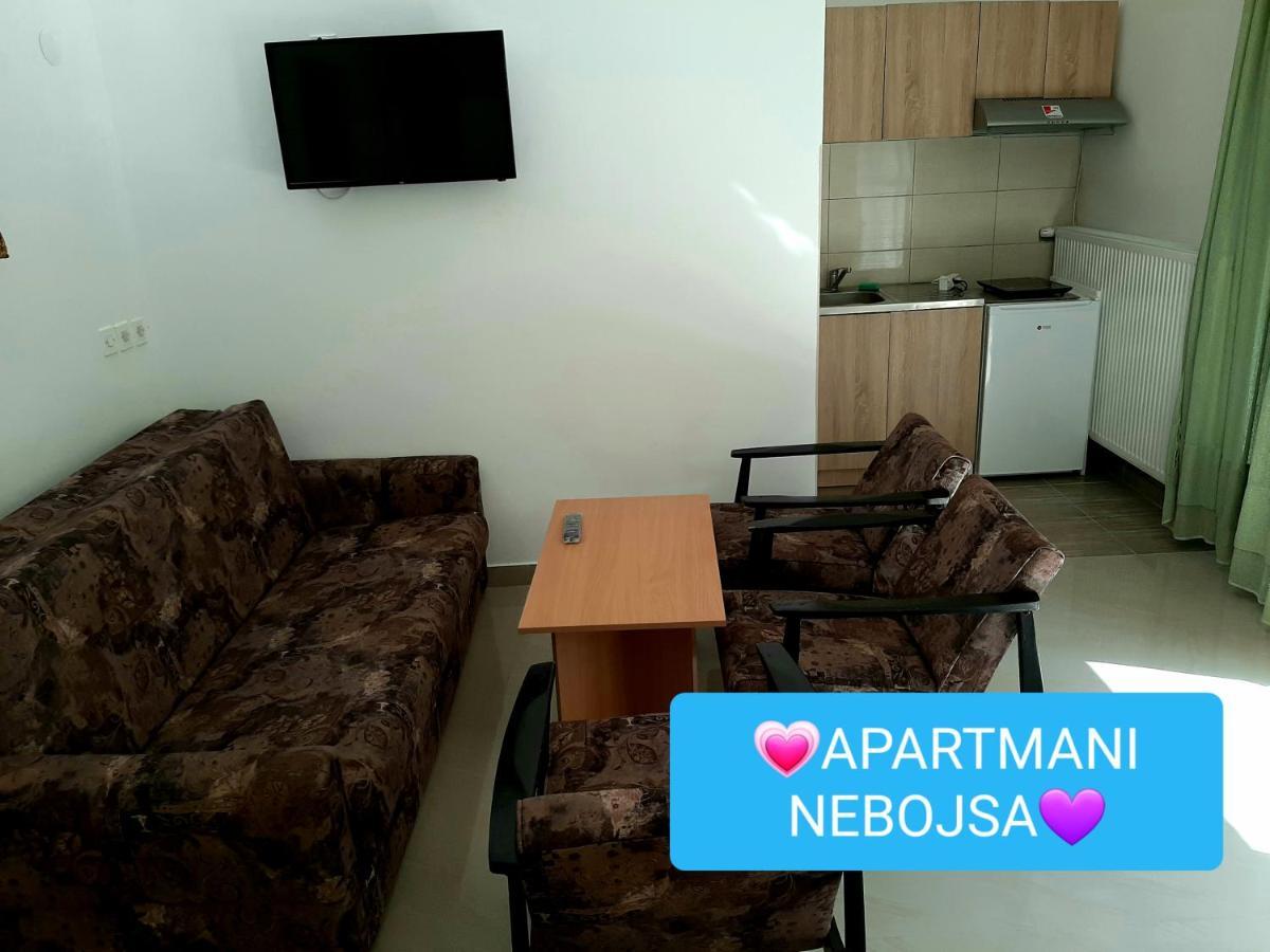 Apartments Nebojsa Soko Banja Exterior photo