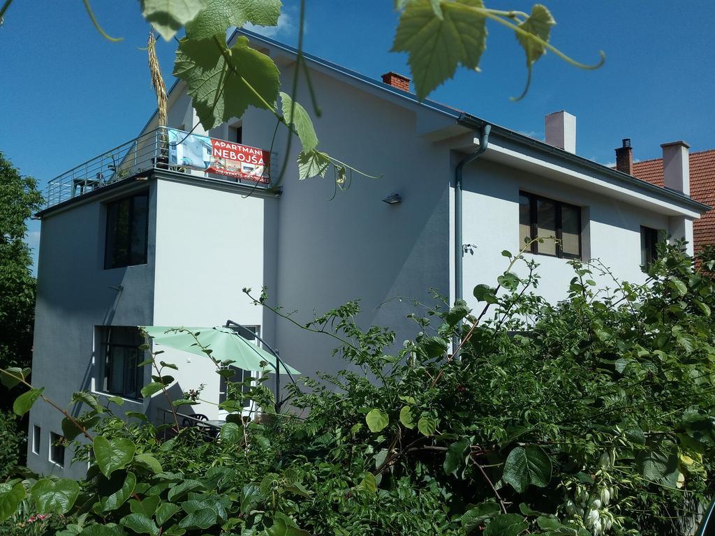 Apartments Nebojsa Soko Banja Exterior photo